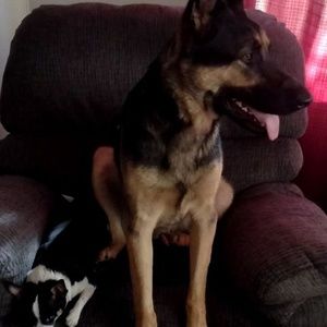 Meet your Posher, Loretta